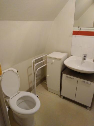 une salle de bain avec toilettes et lavabo dans l'établissement Les Milles Gouttes Résidence La Feuillée, à Le Mont-Dore