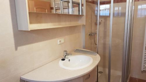 a bathroom with a sink and a shower at kleine Ferienwohnung Schortestraße in Ilmenau