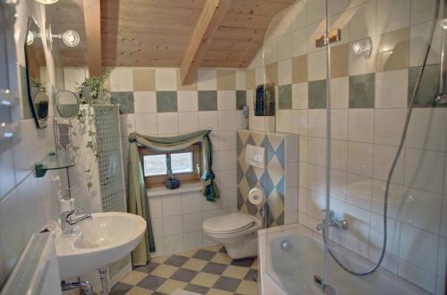 uma casa de banho com um lavatório, um WC e um chuveiro em Ferienwohnung Petra em Bischofsmais
