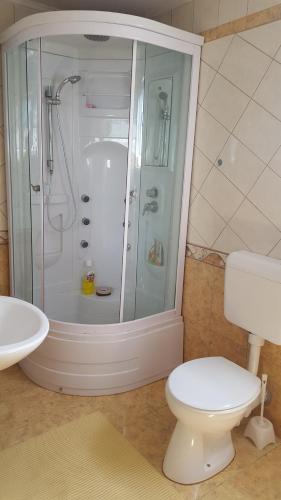a bathroom with a shower and a toilet and a sink at Studio Apartman SAJRA in Kulen Vakuf