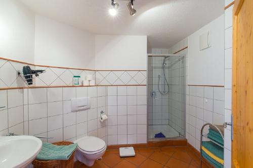 a bathroom with a shower and a toilet and a sink at Ferienhof Lecheler in Breitenthal
