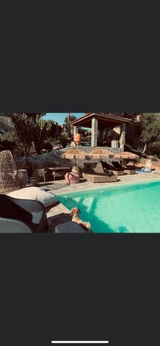 a swimming pool with people laying on the chairs next to it at Residence Paradisu Ajaccio in Appietto
