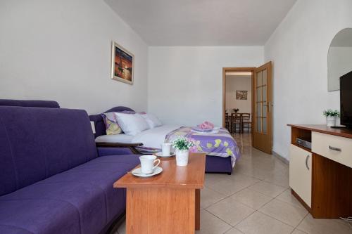 TV a/nebo společenská místnost v ubytování Apartments Matej