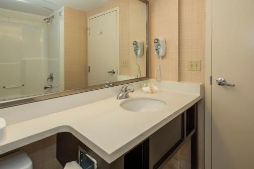 a bathroom with a sink and a mirror at Holiday Inn Conference Centre Edmonton South, an IHG Hotel in Edmonton