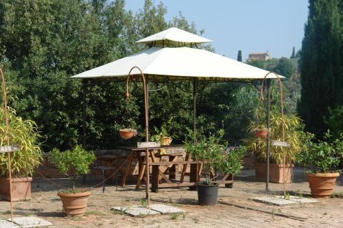 a picnic table under an umbrella with potted plants at Giaggiolo in Poggibonsi