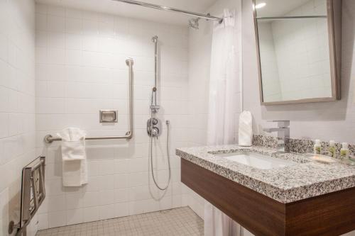 Holiday Inn Ottawa East, an IHG Hotel tesisinde bir banyo