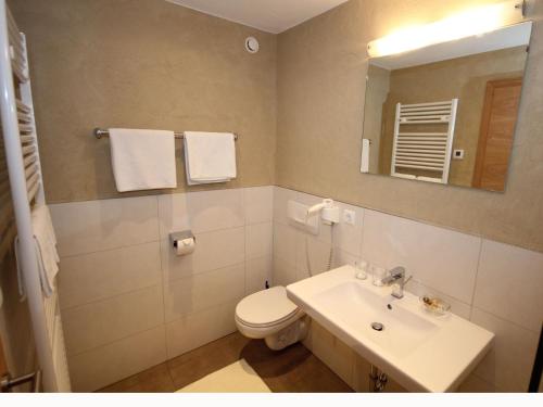 W łazience znajduje się toaleta, umywalka i lustro. w obiekcie Apart Gletscherblick w mieście Kaunertal