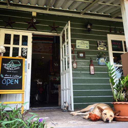 a dog laying on the ground in front of a building at The Green land (Khok Kruat) in Nakhon Ratchasima