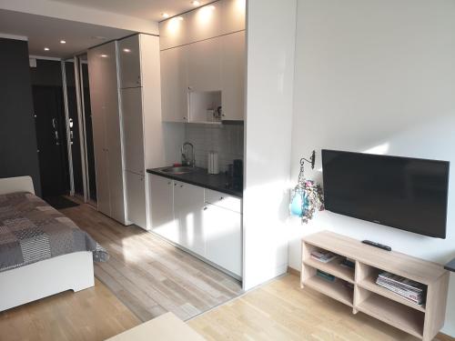 Una sala de estar con un televisor de pantalla plana en una pared. en Mindaugo 1A, en Vilna