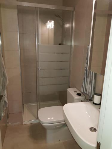 a bathroom with a shower and a toilet and a sink at Apartamentos Cachón in Zahara de los Atunes
