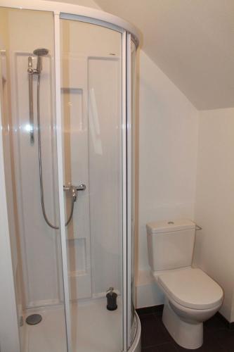 a bathroom with a toilet and a shower at Mirabelle Bed & Breakfast in Ribeauvillé