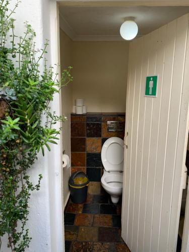 Ένα μπάνιο στο Urban Hive Backpackers