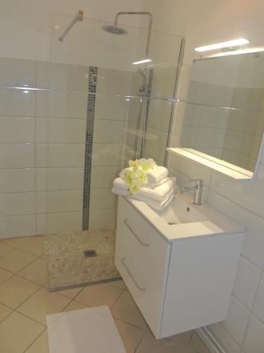 a bathroom with a shower and a sink and a mirror at Villa D ENNRY in Pointe-Noire