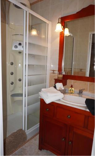a bathroom with a shower and a sink and a mirror at Les Centauris in Pléguien