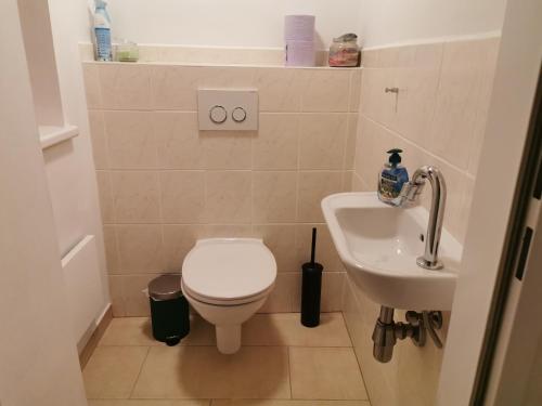 a bathroom with a toilet and a sink at Zentrale, ruhige Wohnung nahe Murinsel & Kunsthaus in Graz