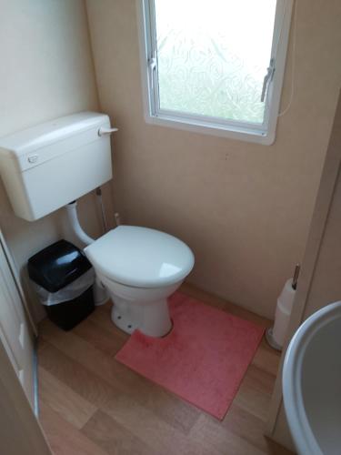 a bathroom with a toilet and a sink and a window at Clwyd 40 Vacation in Borth