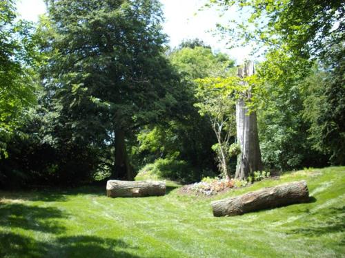 two logs in a field with trees and grass at Holiday Inn Wolverhampton - Racecourse by IHG in Wolverhampton