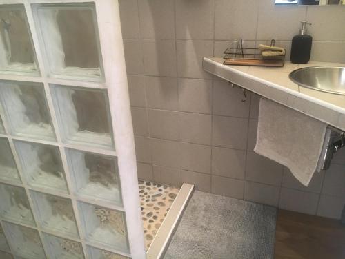 La salle de bains est pourvue d'une douche avec une étagère en verre. dans l'établissement LA GRACETTE Les Studios, à Aix-en-Provence