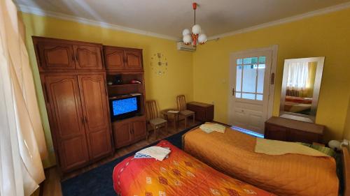 een slaapkamer met 2 bedden en een flatscreen-tv bij Apartment Roxana in Novi Sad