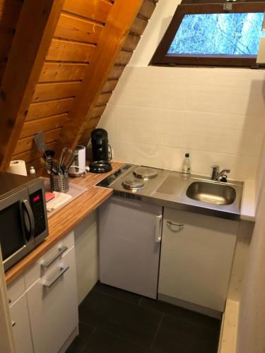 Dapur atau dapur kecil di Ferienhäuser Am Waldschlößchen