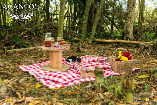 a picnic blanket with a table and two baskets of food at Acantos Hotel Campestre in Támesis