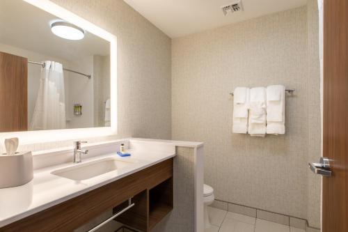 ein Badezimmer mit Waschbecken, Toilette und Spiegel in der Unterkunft Holiday Inn Express & Suites Greenville S - Piedmont by IHG in Piedmont
