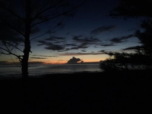 a sunset on the beach with a tree in the foreground at Jimmy Explorer Campsite and Dive Center in Lanyu