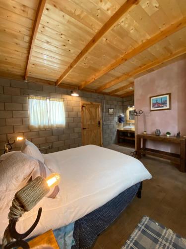 a bedroom with a large bed with a wooden ceiling at Sn Tony Hotel & Spa in Valle de Guadalupe