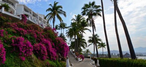 a sidewalk with pink flowers and palm trees on a beach at Rento departamento frente a la playa in Manzanillo