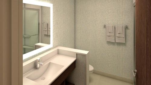 uma casa de banho com um lavatório, um WC e um espelho. em Holiday Inn Express & Suites - Braselton West, an IHG Hotel em Braselton