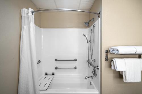 a bathroom with a shower with a shower curtain at Holiday Inn Express Hotel & Suites Ashland, an IHG Hotel in Ashland