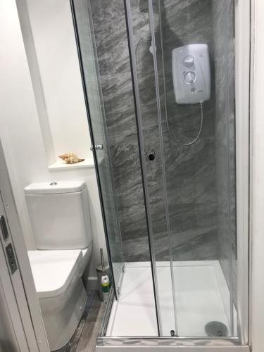 um chuveiro com uma porta de vidro ao lado de um WC em Daisy Cottage em Saint Monance