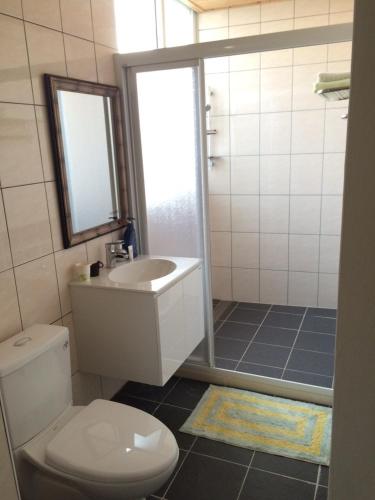 a bathroom with a toilet and a sink and a shower at Fly House 飛航家民宿 in Hualien City