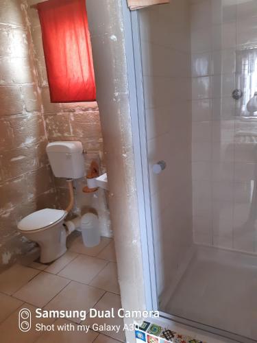 a bathroom with a toilet and a shower at Honnehokke Resort in Hondeklipbaai