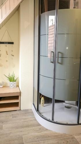 une douche avec une porte vitrée dans une pièce dans l'établissement Le Familial, à Kintzheim