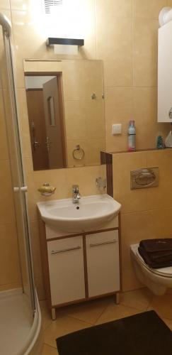 a bathroom with a sink and a toilet and a mirror at Apartamenty Krynica Zdrój in Krynica Zdrój
