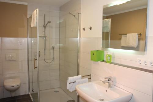 a bathroom with a shower and a sink and a toilet at Kaiser Wilhelm - Appartement mit Saunanutzung in Burgbernheim