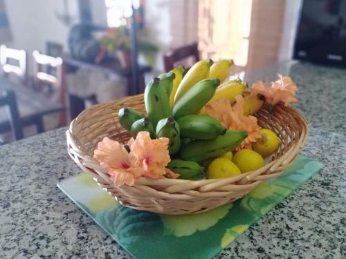 a basket of bananas and other fruits on a counter at Vi Miles Lodge in Mahe