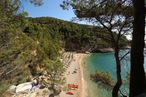Gallery image of Pugnochiuso Resort Villette Belvedere in Pugnochiuso