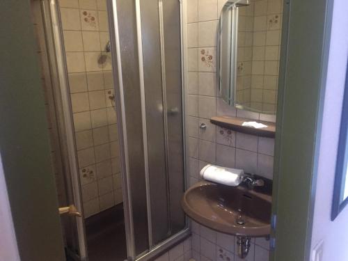 a bathroom with a sink and a shower at Erlebnislokal LAMMERSDORFER HOF in Lammersdorf