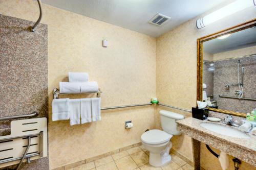 ein Badezimmer mit einem WC, einem Waschbecken und einem Spiegel in der Unterkunft Holiday Inn Express and Suites Granbury, an IHG Hotel in Granbury