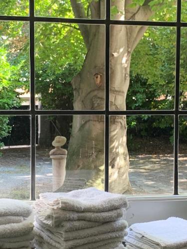 Garden & Breakfast – Photos 3