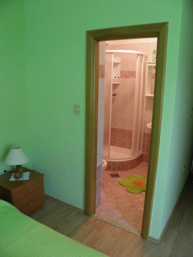 Phòng tắm tại Apartment Mladinic Brac