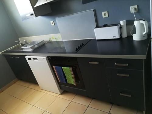 Η κουζίνα ή μικρή κουζίνα στο Appartement Meublé de Tourisme