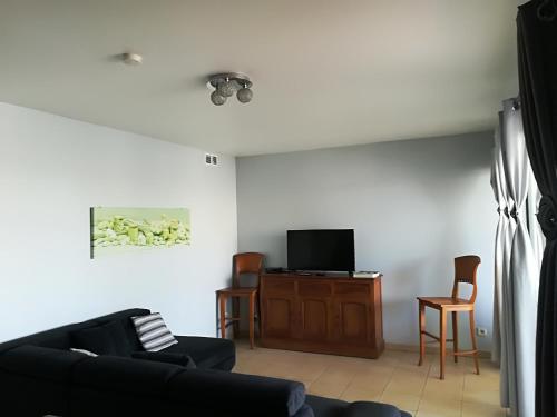 uma sala de estar com um sofá e uma televisão de ecrã plano em Appartement Meublé de Tourisme em Saint-Pierre