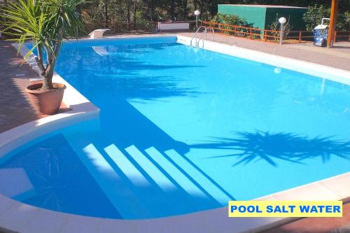 a blue swimming pool with a fork in it at VILLASEASICILY or VILLA Sea And Archaeology in Balestrate
