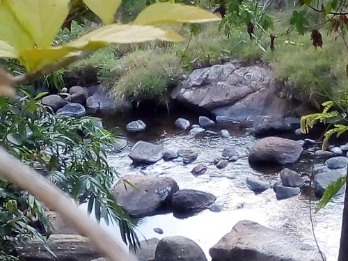 a stream in a garden with rocks and trees at Vegetable Garden House in Adams Peak