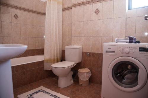 a bathroom with a toilet and a sink and a washing machine at Maxis apartment 2 in Koroni