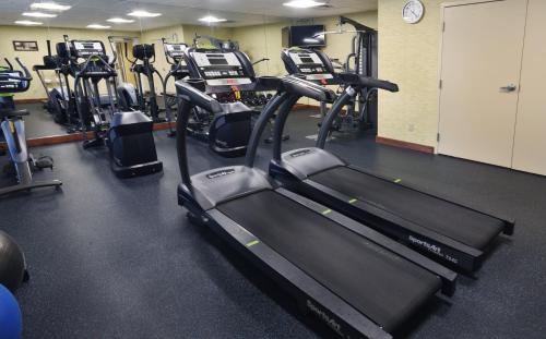 a gym with rows of treadmills and machines at Holiday Inn Express Milford by IHG in Milford