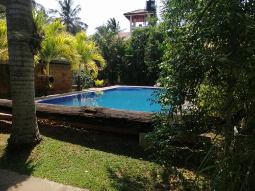 a swimming pool in a yard with palm trees at Pavana Hotel in Negombo